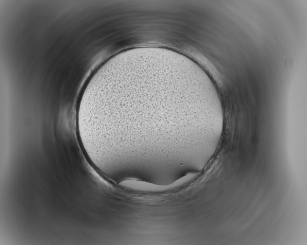 X0000086891476200705141613