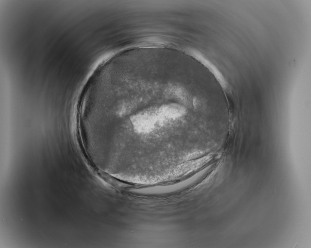 X0000086891477200705141613