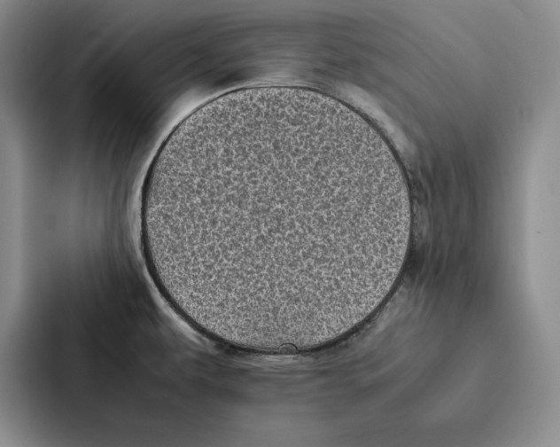 X0000086891479200705141613