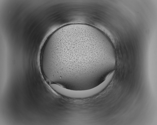 X0000086891480200705141613