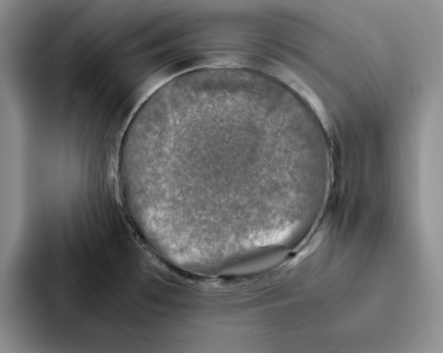 X0000086891481200705141613