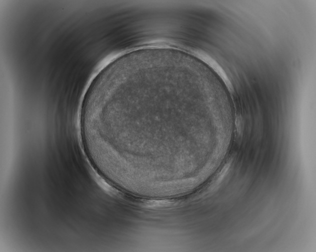 X0000086891482200705141613