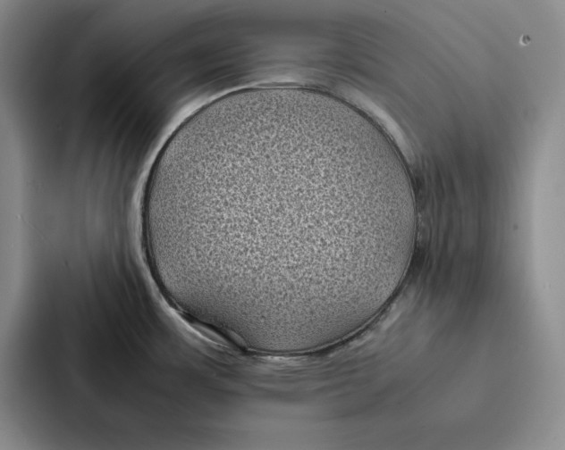 X0000086891483200705141613