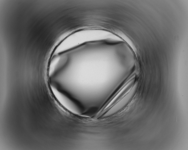 X0000086891485200705141613