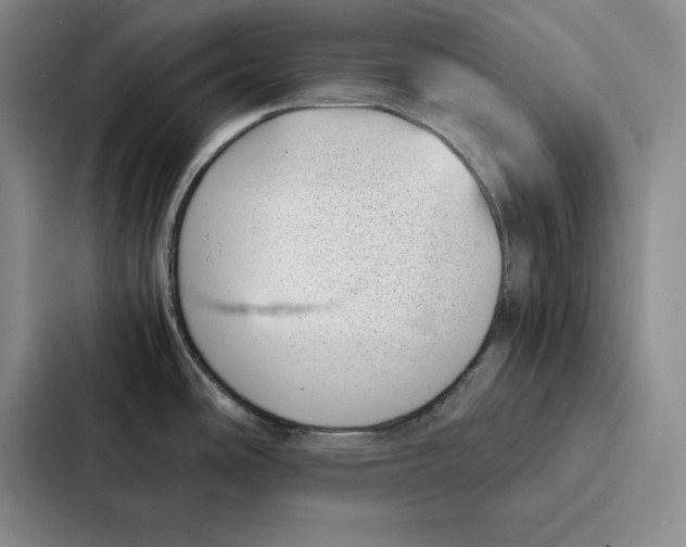 X0000086891486200705141613