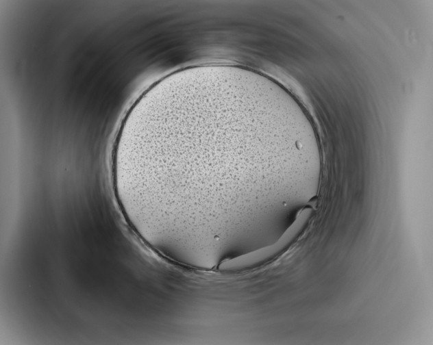 X0000086891488200705141612