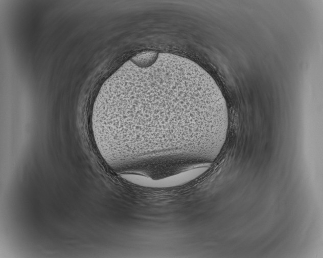 X0000086891489200705141612