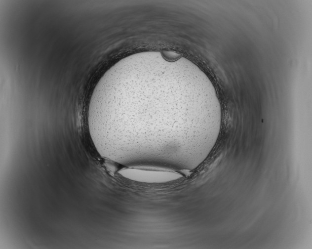 X0000086891490200705141612