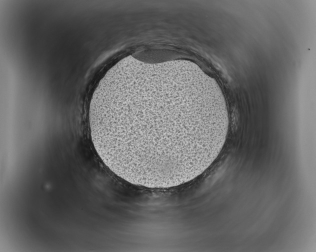 X0000086891494200705141612