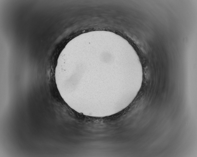 X0000086891495200705141612