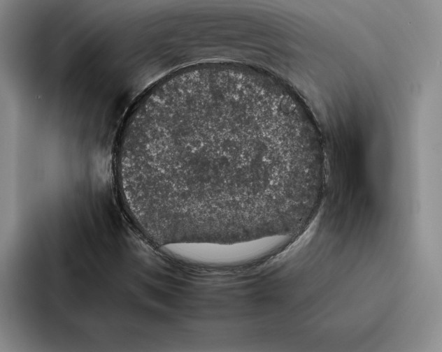 X0000086891497200705141612