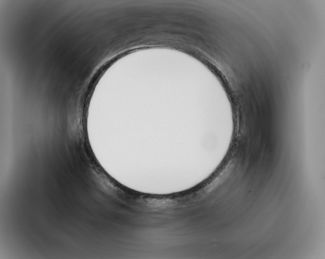 X0000086891498200705141612