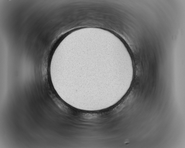 X0000086891499200705141612