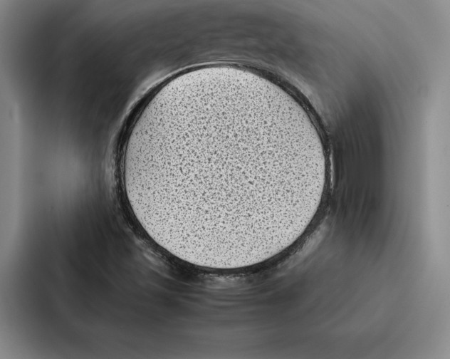 X0000086891501200705141612