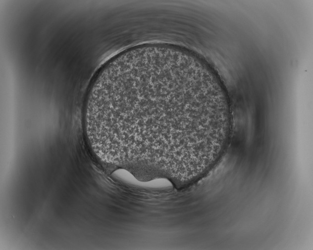 X0000086891505200705141612