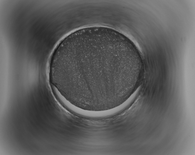 X0000086891508200705141612