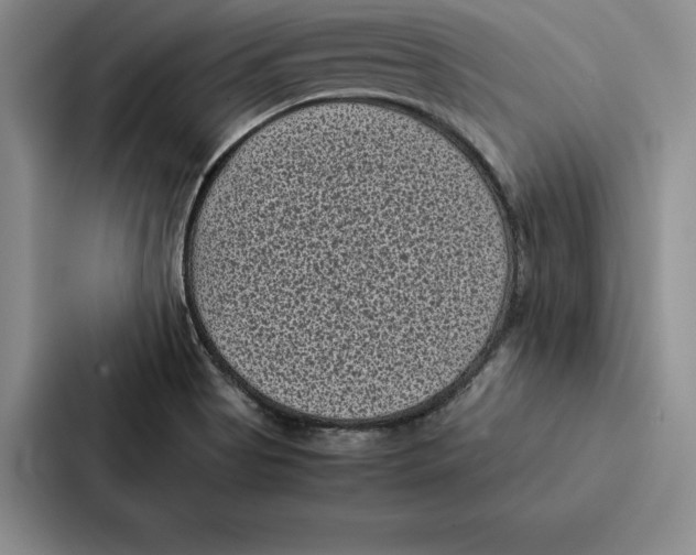 X0000086891513200705141612