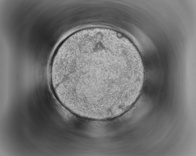 X0000086891514200705141612