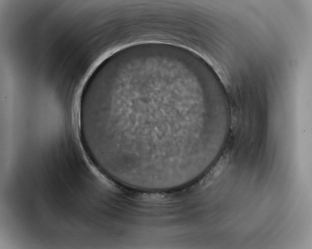 X0000086891515200705141612