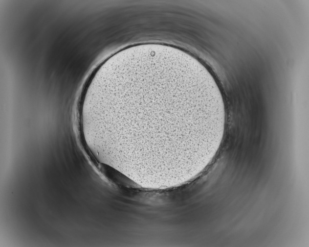 X0000086891517200705141612