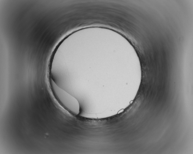 X0000086891518200705141612