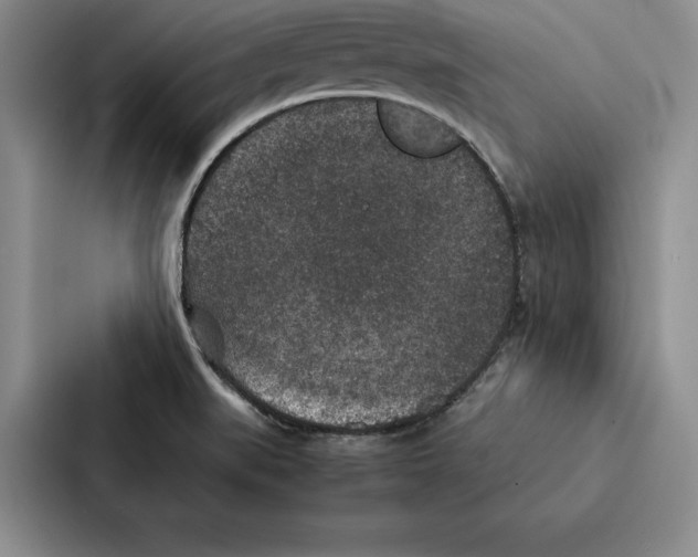 X0000086891519200705141612