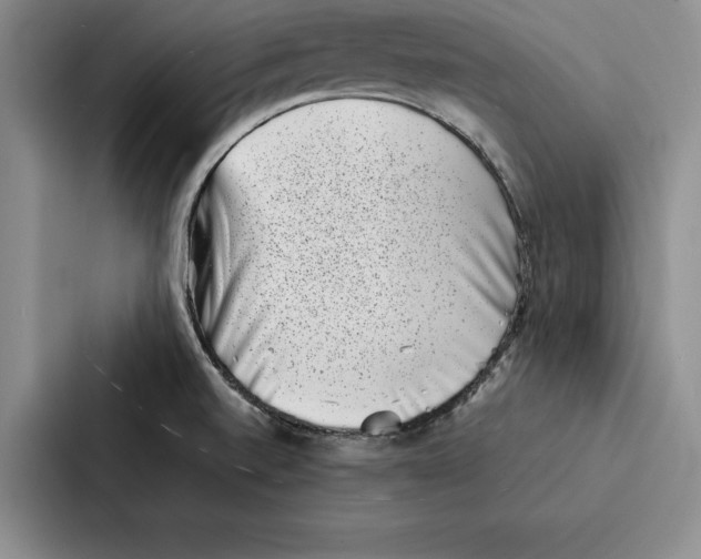 X0000086891520200705141612