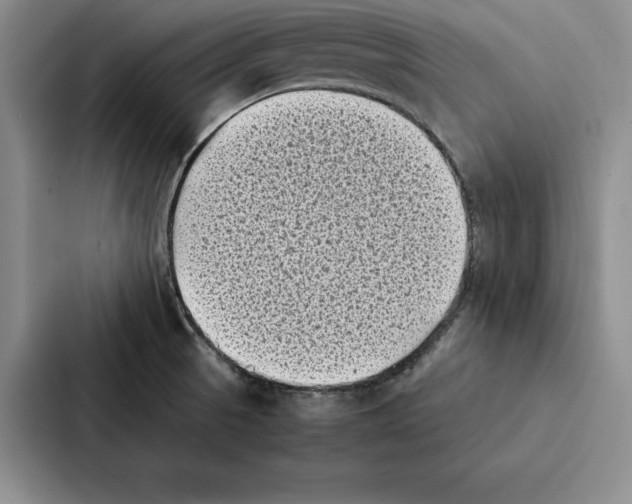 X0000086891521200705141612