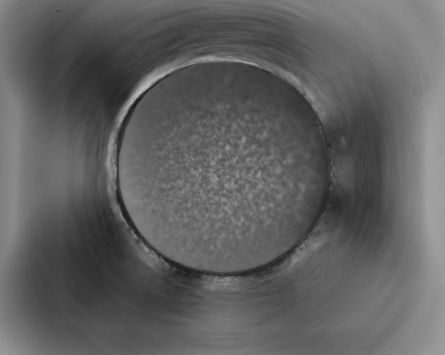 X0000086891522200705141612