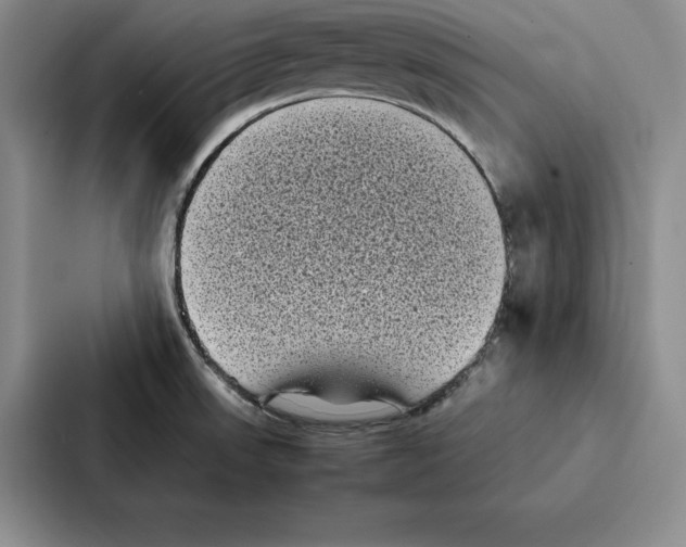 X0000086891523200705141612