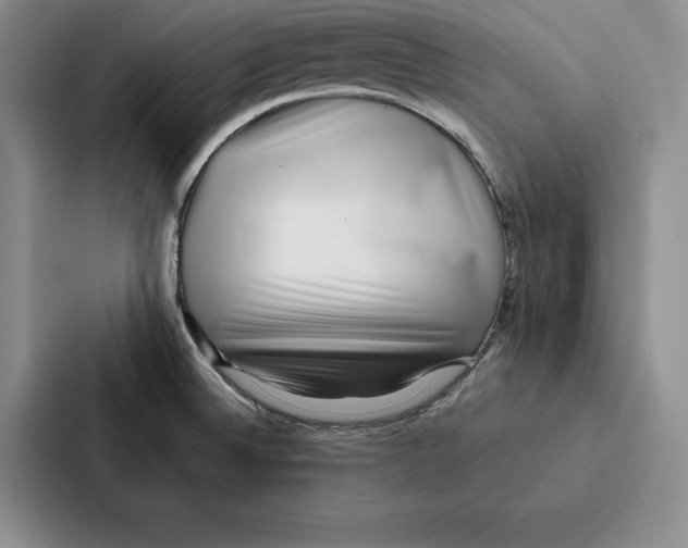 X0000086891524200705141612