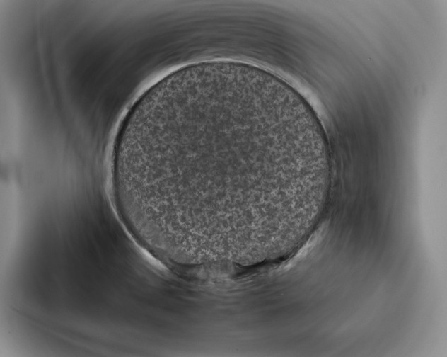 X0000086891525200705141612