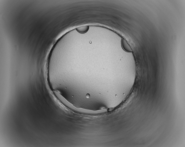 X0000086891526200705141612