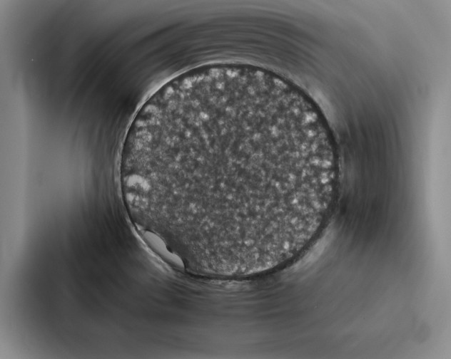 X0000086891529200705141612