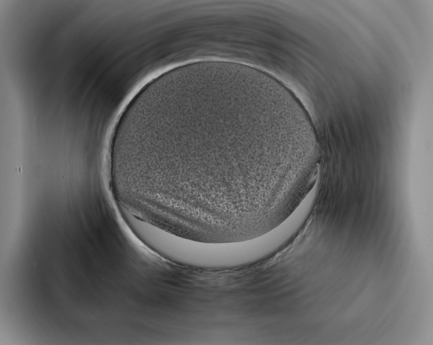 X0000086891531200705141612