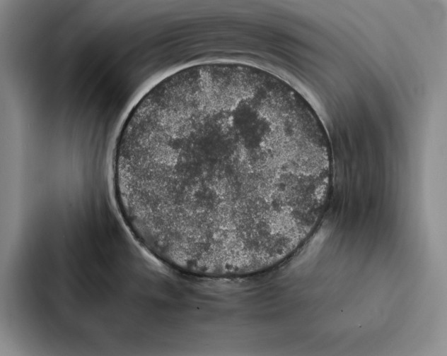 X0000086891533200705141612