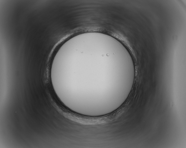 X0000086900012200704160957