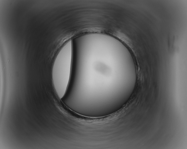 X0000086900013200704160957