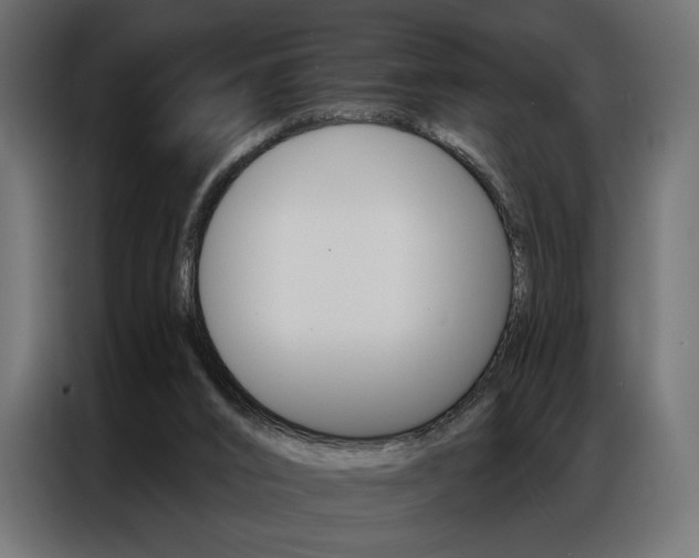 X0000086900016200704160957