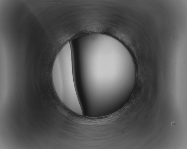 X0000086900017200704160957
