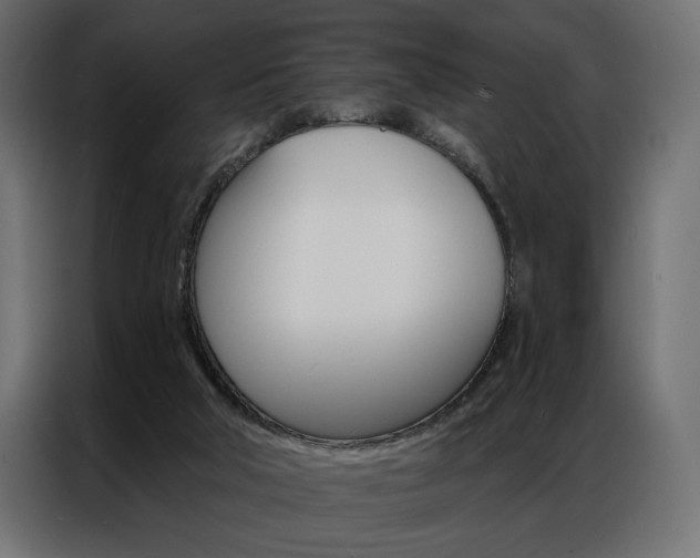 X0000086900018200704160957