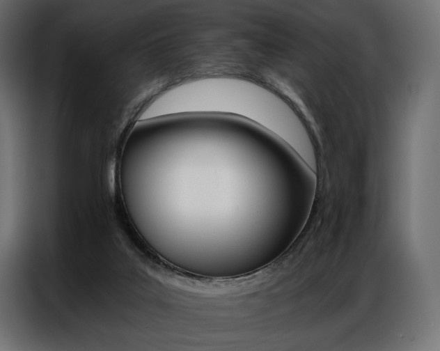 X0000086900019200704160957