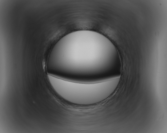 X0000086900021200704160957