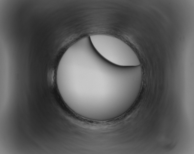 X0000086900024200704160957