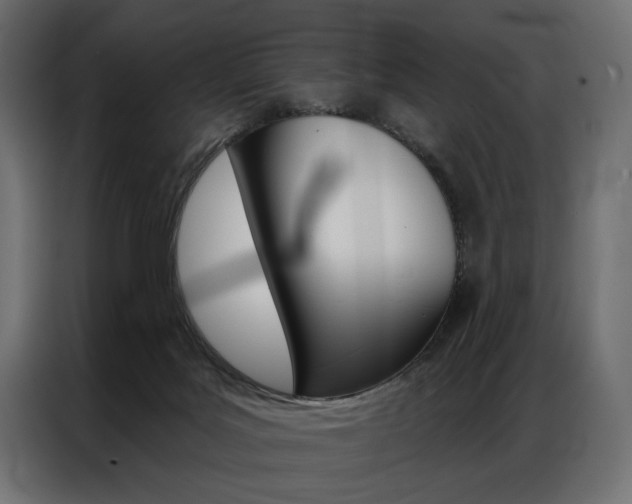 X0000086900027200704160957