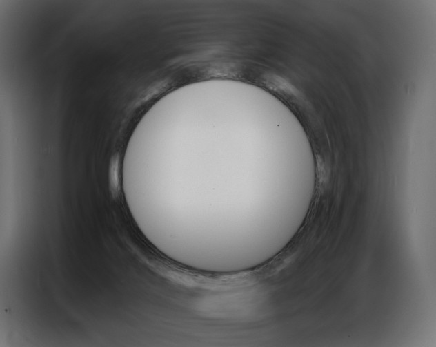 X0000086900028200704160957