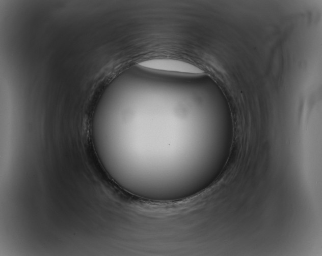 X0000086900029200704160957