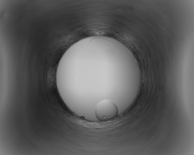 X0000086900030200704160957