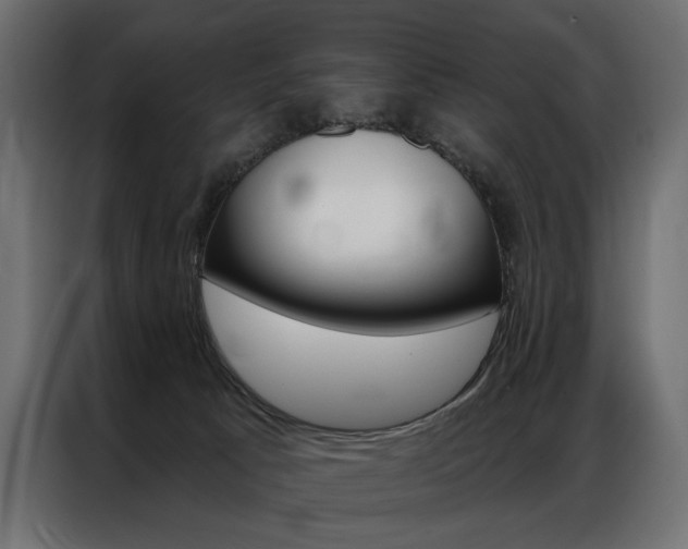X0000086900033200704160956