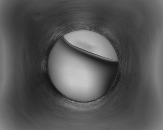 X0000086900035200704160956